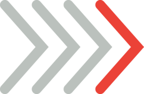 Regulatory Services Eumedica